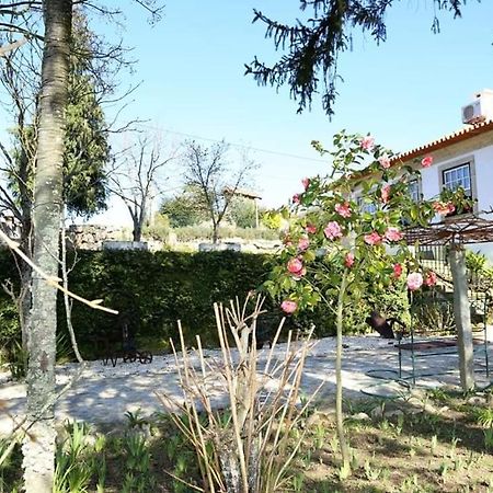 Quinta De Vila Verde- Paixao Ancestral, Turismo Rural Марку-ді-Канавезиш Екстер'єр фото